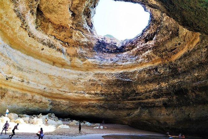 Benagil Cave Tour and Dolphin Watching From Vilamoura  - Albufeira - Tour Overview
