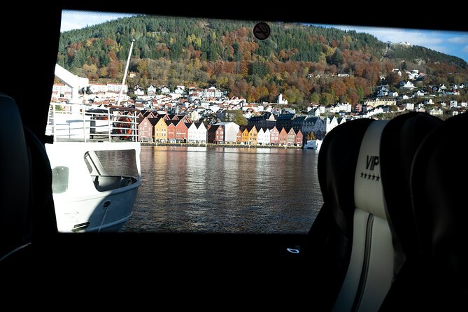 Bergen Guided Tour by Minibus (With Photo Stops) & Bryggen Walk - Snacks Provided
