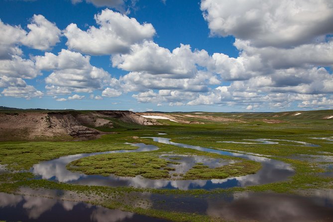 Best of Yellowstone - Guided National Park Safari Tour - Tour Highlights
