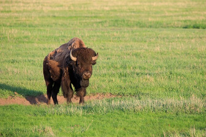 Best of Yellowstone Guided Tour From Bozeman - Private Tour - Directions