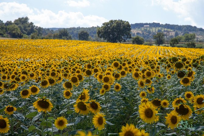 Bevagna E-Bike & Slow Food Tour - Common Questions