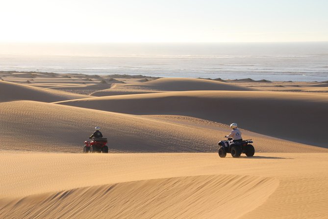 Big Cap Sim Dunes and Forest 3 Hours Tour. - Tour Inclusions