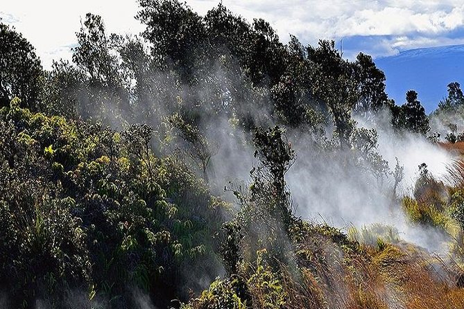 Big Island Guided Excursion From Oahu  - Honolulu - Common Questions