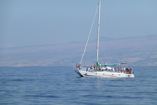 Big Island Kohala Coast Morning Whale Watch Cruise  - Big Island of Hawaii - Recommendations From Honored Guests