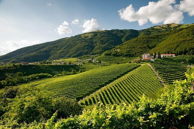 Bike Tours On The Wine Route Prosecco Valdobbiadene Unesco - Cycling Routes and Difficulty Levels