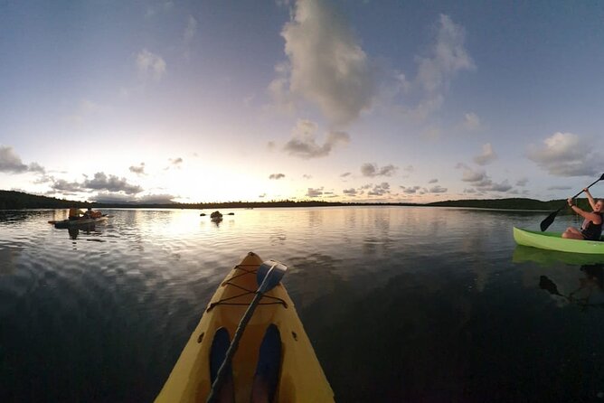 Bioluminescent Bay Night Kayaking Tour in Laguna Grande Fajardo - Pricing and Customer Satisfaction