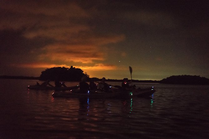Bioluminescent Kayak Tour. Fin Expeditions Is Cocoa Beaches Top Rated Kayak Tour - Bioluminescence Experience