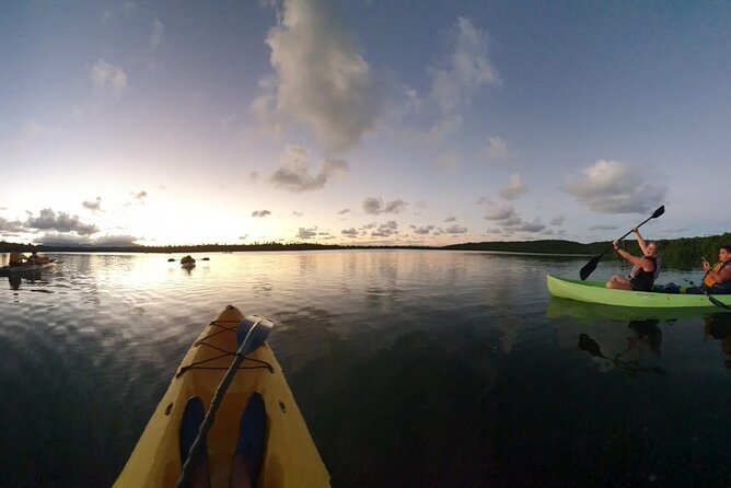 Bioluminescent Night Kayaking Pickup Point From San Juan - Meeting and Pickup Details
