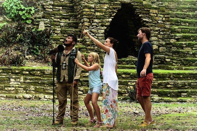 Birdwatching at the Mayan Cities With Certified Guide - Conservation Efforts and Responsible Birdwatching