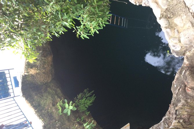 Blue Hole Mineral Springs, Ricks Café, and Shopping Combo Tour - The Sum Up