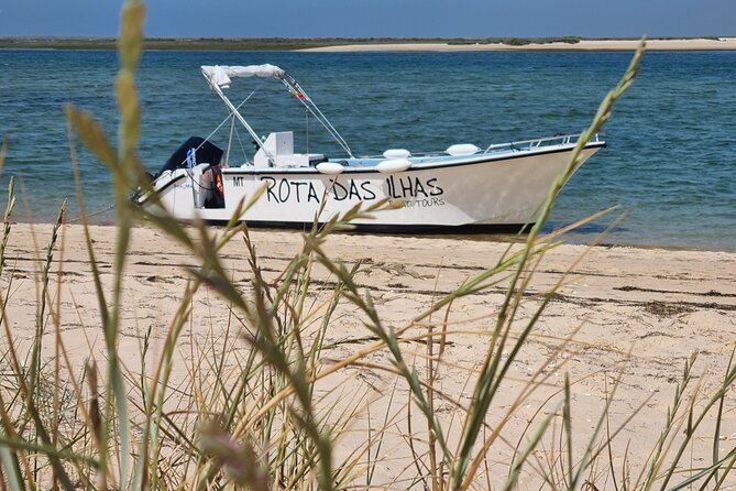 Boat Ride (6h00)3 Stops Ria Formosa - Traveler Photos and Reviews