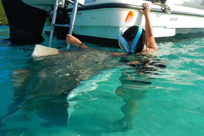 Boat Tour 1/2 Day Excursion in the Lagoon of Moorea - Common Questions