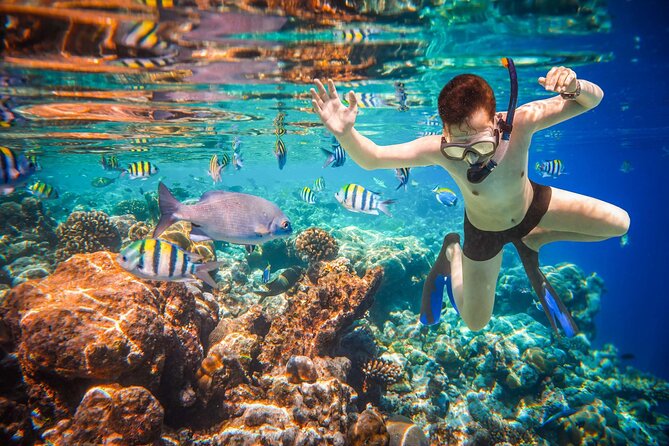 Boat Tour and Snorkel at Pelican Rock - Cancellation Policy for the Boat Tour
