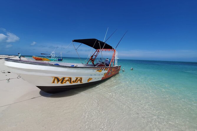 Boat Tour of Three Islands in Holbox With Transportation - Boat Tour Highlights