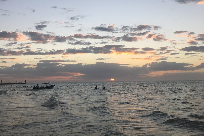 Boat Tour to Celestun From Merida - Common Questions