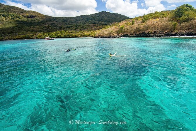 Boat Trip for Snorkeling Discovery of Corals - Common Questions
