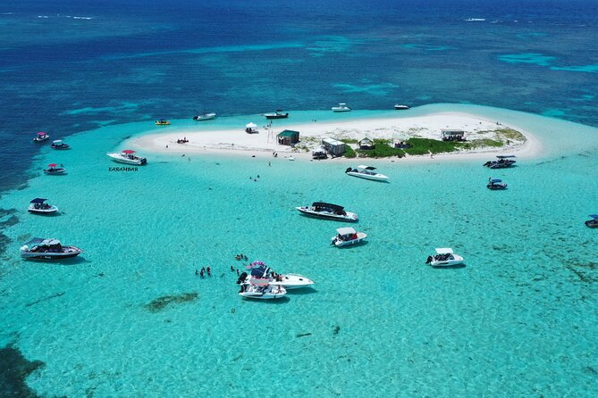 Boat Trip Visit Mangroves, Islets and Lagoon - Reviews and Ratings