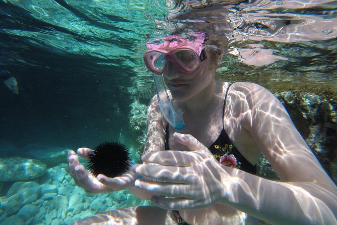 Boat Trip With Guided Snorkeling Tour & SUP in Chania - Feedback and Recommendations