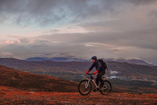 Bodø E-Bike Guided Ride  - Bodo - The Sum Up
