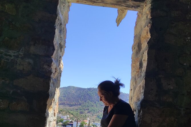 Bodrum Rustic Lunch and Olive Tasting Tour - The Sum Up