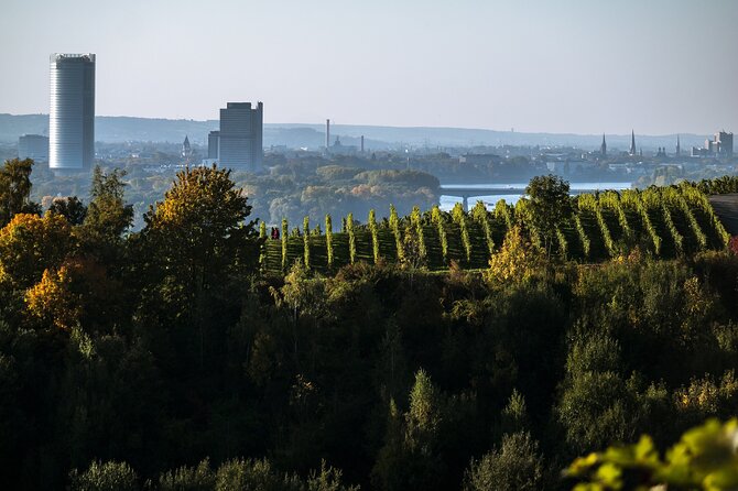 Bonn Self-Guided Game Tour - The Sum Up
