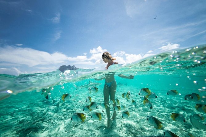Bora Bora Jet Ski Tour, & Eco Shark / Ray Snorkel Cruise - Disappointment With Restaurant