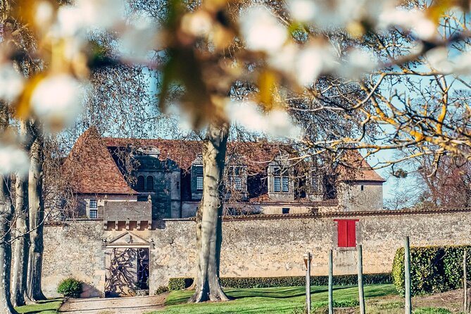 Bordeaux: the Vineyard off the Beaten Track - Offbeat Vineyard Experiences in Bordeaux
