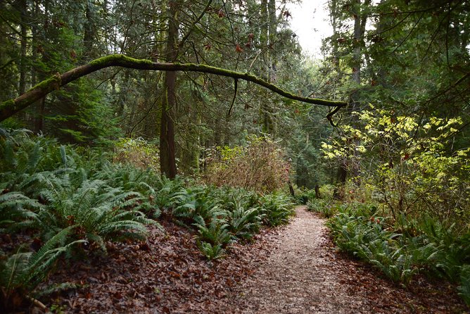 Bowen Island Ferry, Hike & Photography - Ferry Ride