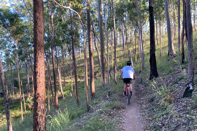 Brisbane Electric Mountain Bike Experience Tour - Customer Support and Contact Information