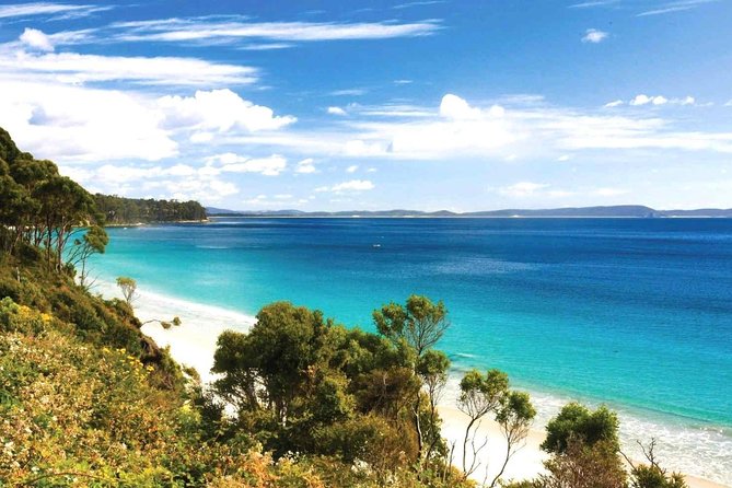 Bruny Island Day Tour Private Charter Service - Common Questions