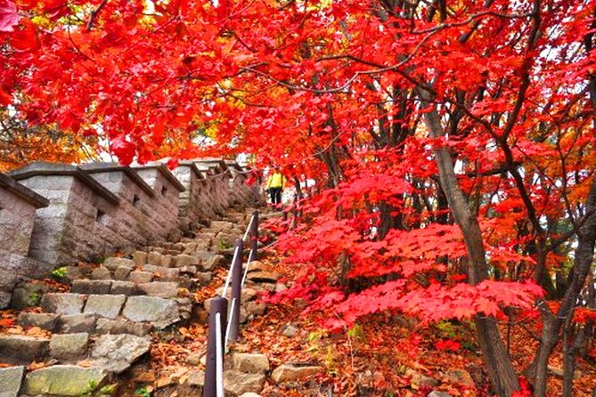 Bukhansan Mountain Hiking Private Tour Including Jjimjilbang & Spa,Korean BBQ - Private Tour Benefits