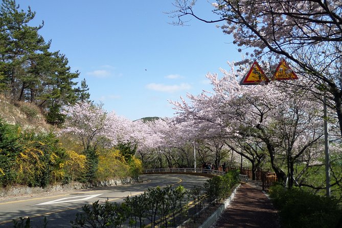 Busan City Tour Including Haedong Yonggungsa Temple And APEC House - The Sum Up
