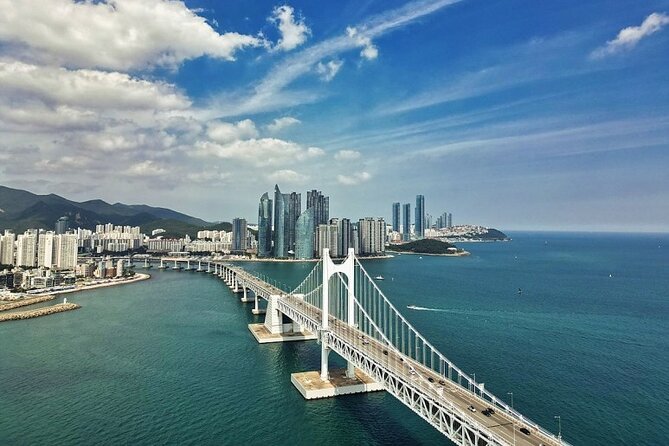 Busan Full-Day Private Tour via the KTX Train From Seoul - Cancellation Policy