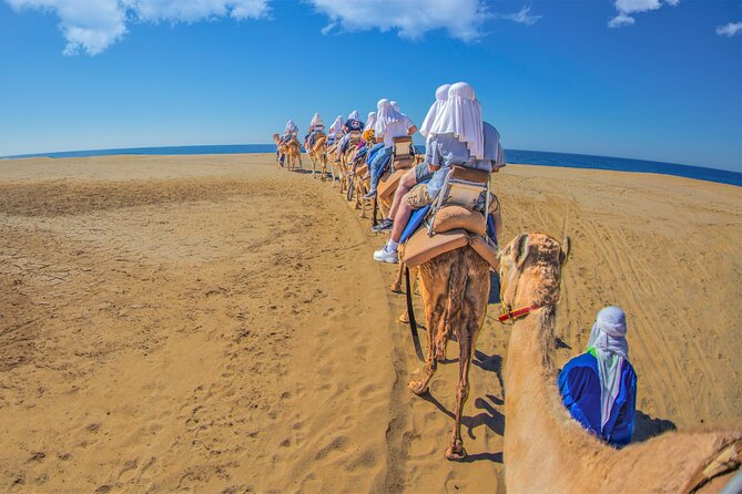 Cabo San Lucas Baja Desert Camel Ride - Common Questions