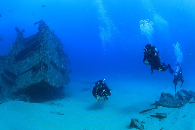 Cabo San Lucas Beginner Scuba Diving Experience - Common Questions