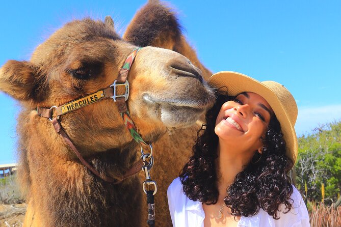 Cabo San Lucas: Camel Ride on the Beach - Common Questions