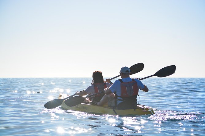 Cabo San Lucas Glass Bottom Kayak Tour and Snorkel at Two Bays - Tour Highlights and Customer Satisfaction