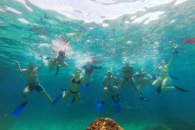 Cabo San Lucas Luxury Sailing and Snorkeling Cruise - Departure Point and Confirmation