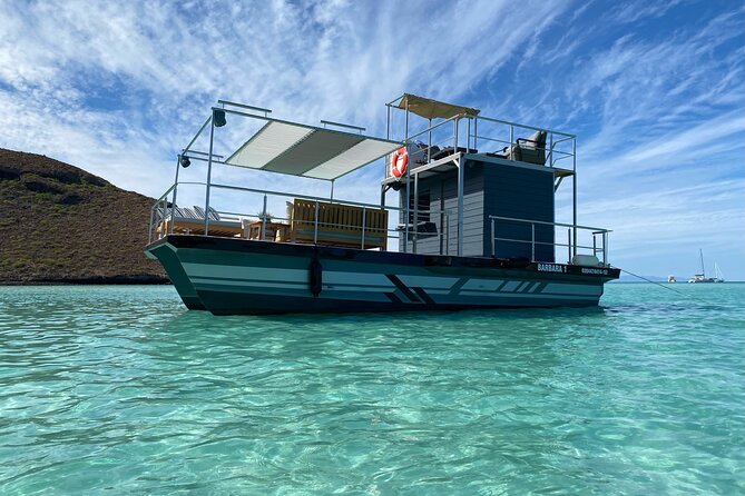 Cabo San Lucas Private Sailing Trip With Snorkeling and SUP - Recommendations and Preparations