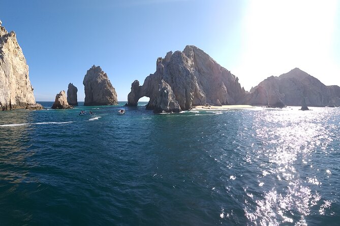 Cabo San Lucas Whale Watching Tour All Included - Reviews and Ratings