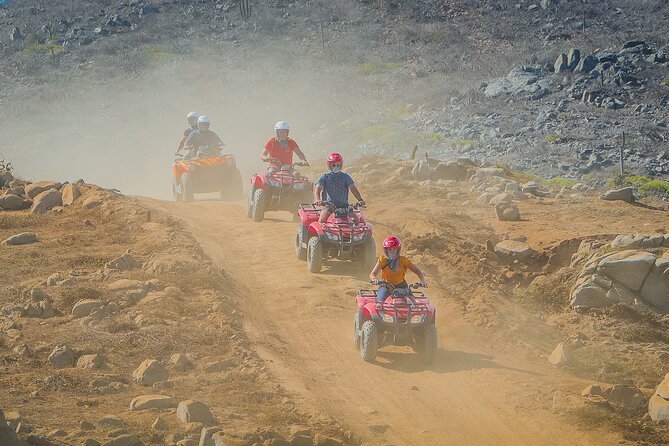 Cactus Combo Combine Two of Your Favorite Desert Tours - Tour Inclusions