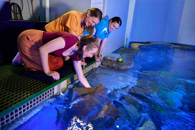 Cairns Aquarium Marine Life Encounter Ticket - The Sum Up