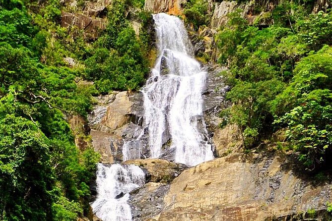 Cairns Private Barron Gorge National Park Tour  - Cairns & the Tropical North - Barron Falls and Clohesy River Fig