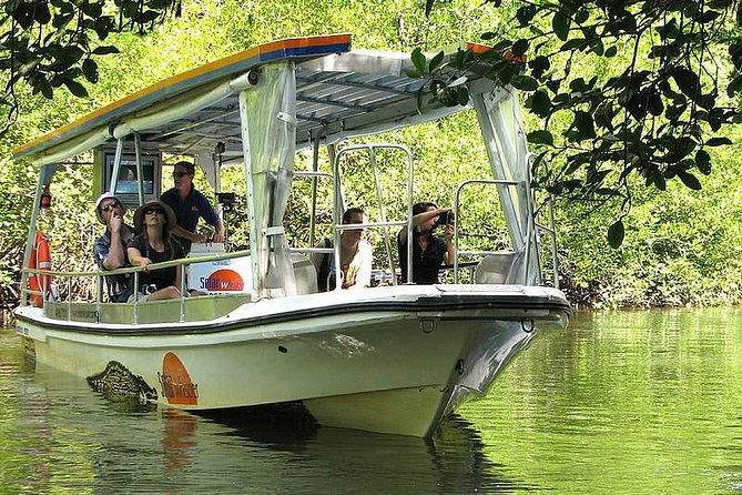 Cairns to Daintree Rainforest Park Private Day Tour With Lunch  - Cairns & the Tropical North - Common Questions
