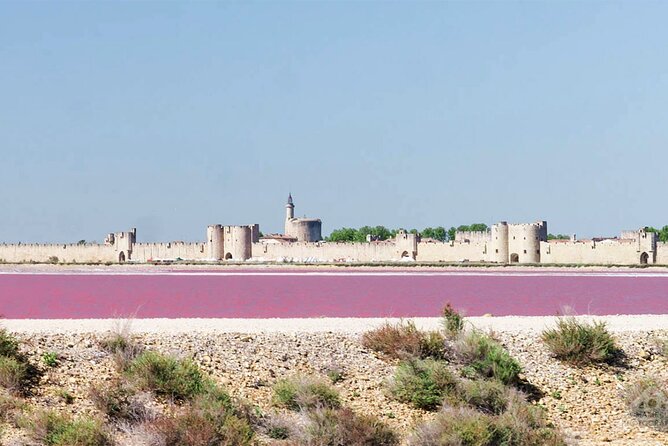 Camargue Small-Group Day Trip From Avignon - Wildlife and Landscape of Camargue