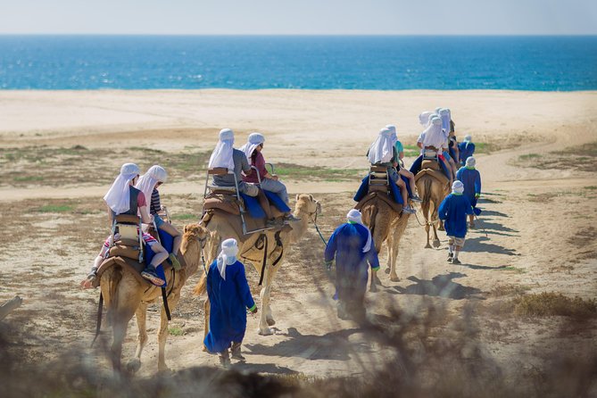 Camel Outback Adventure With Mexican Buffet and Tequila Tasting - Common Questions