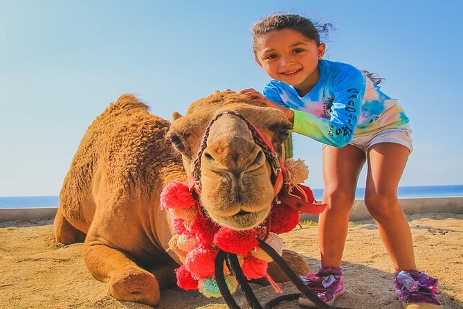 Camel Ride & ATV Combo in Migriño, Mexico - Reviews