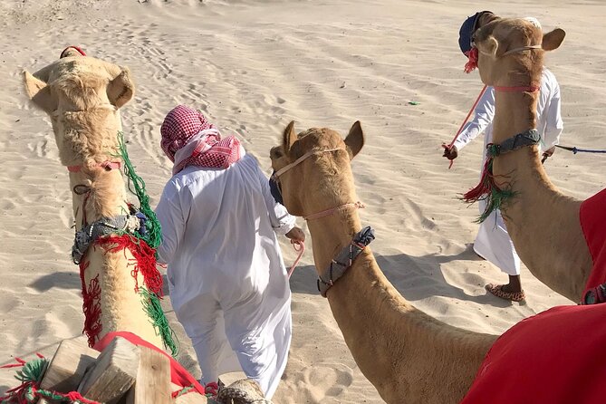 Camel Trekking on the Dunes With Sunset - Booking and Pricing Information