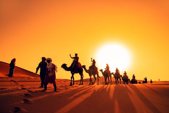 Camell Night Desert Camp - Transportation to Camell Night Desert Camp
