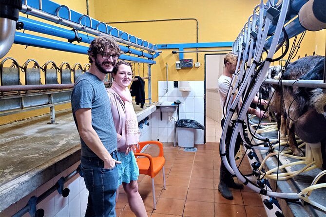 Canarian Animal Farm Car Tour. Goat Cheese and Local Wine. - Booking Information and Pricing Details